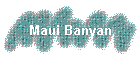 Maui Banyan