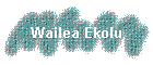Wailea Ekolu