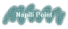 Napili Point